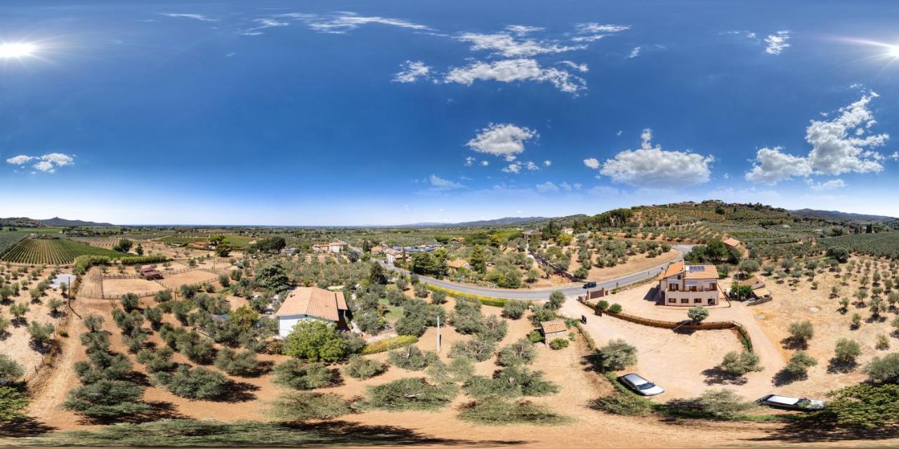 Agriturismo Il Vecchio Olivo Кастаньето-Кардуччи Экстерьер фото